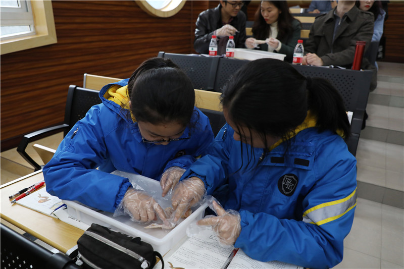 同学们研究动物运动系统结构.jpg