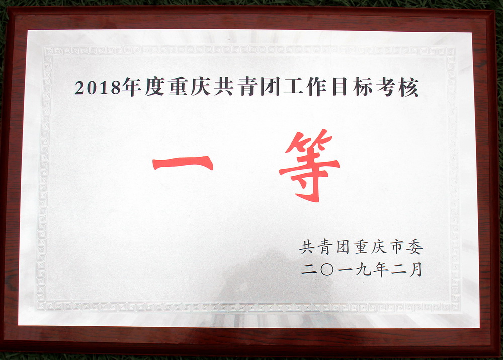 图5：2018年度共青团工作考核一等_调整大小.jpg