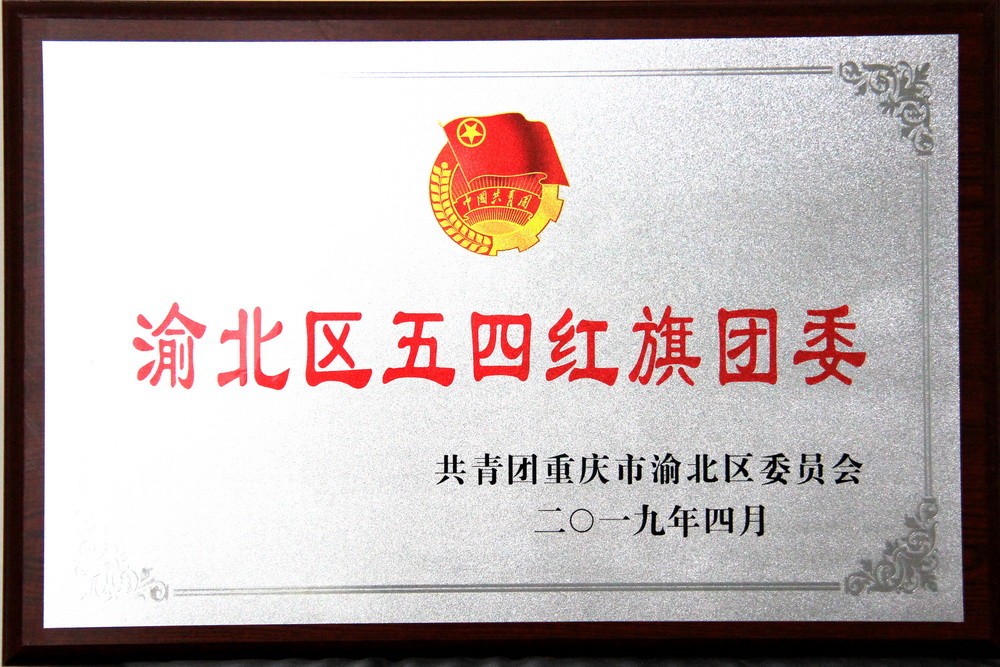 图9：渝北区五四红旗团委_调整大小.jpg