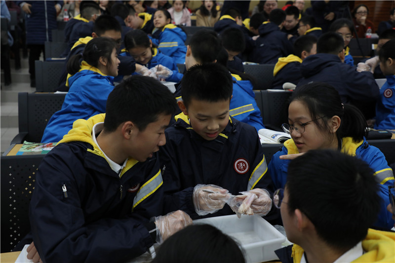课堂活动别具一格.jpg